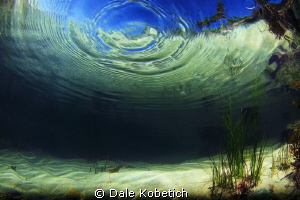 one drop in the ocean and the energy goes on forever...it... by Dale Kobetich 